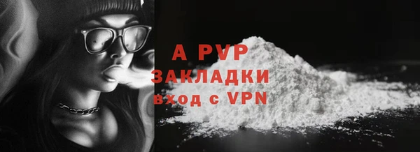тгк Щигры